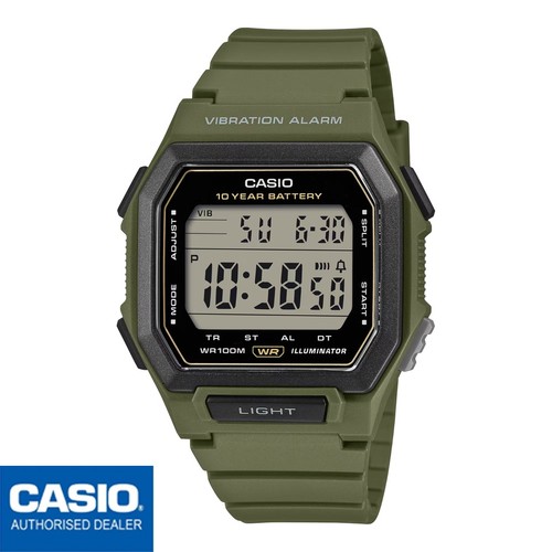 CASIO